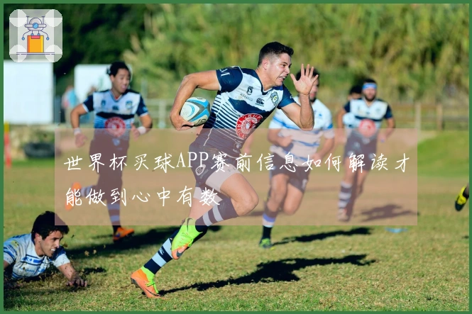 世界杯买球APP赛前信息如何解读才能做到心中有数