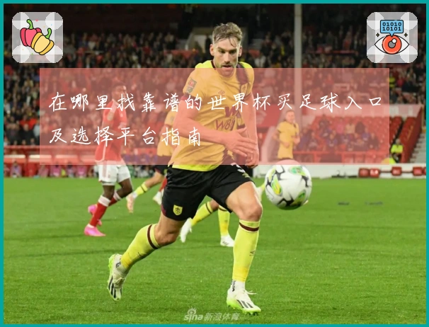 在哪里找靠谱的世界杯买足球入口及选择平台指南