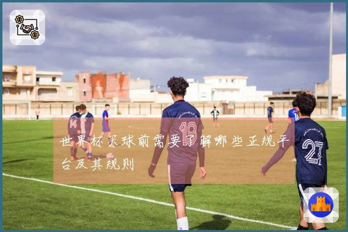 世界杯买球前需要了解哪些正规平台及其规则
