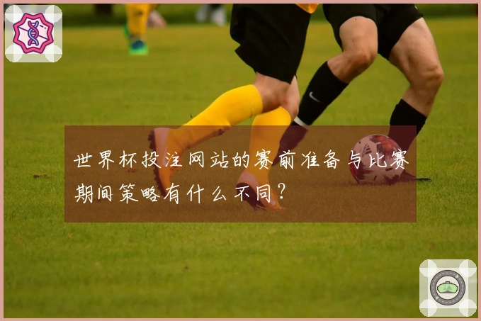 世界杯投注网站的赛前准备与比赛期间策略有什么不同？