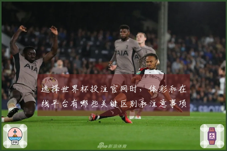 选择世界杯投注官网时，体彩和在线平台有哪些关键区别和注意事项-