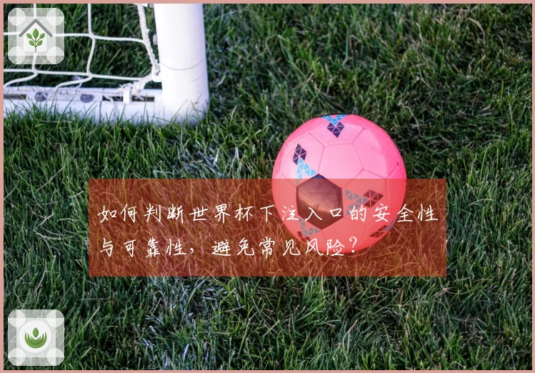 如何判断世界杯下注入口的安全性与可靠性，避免常见风险？