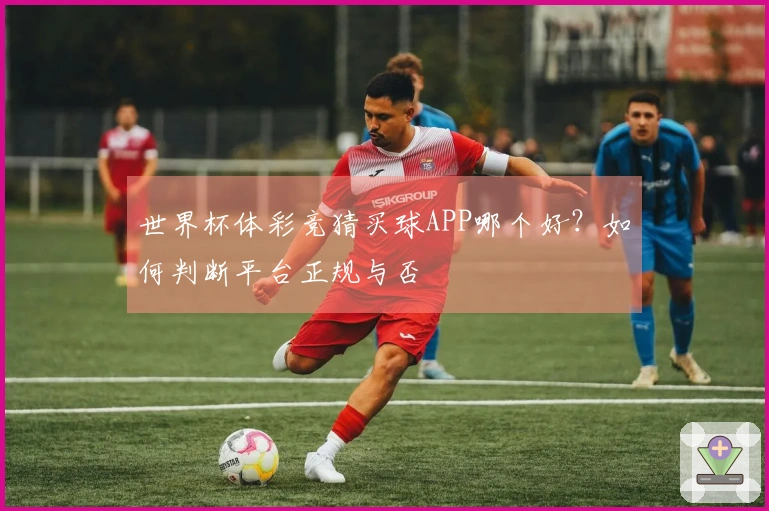 世界杯体彩竞猜买球APP哪个好？如何判断平台正规与否