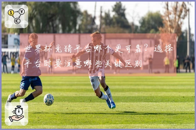 世界杯竞猜平台哪个更可靠？选择平台时要注意哪些关键区别