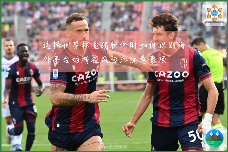 选择世界杯竞猜软件时如何识别海外平台的潜在风险和注意事项