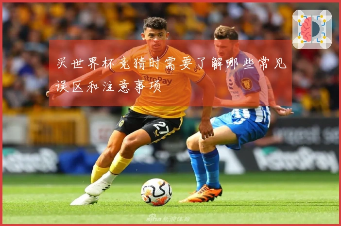 买世界杯竞猜时需要了解哪些常见误区和注意事项