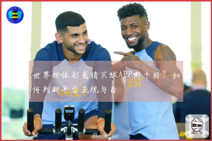 世界杯体彩竞猜买球APP哪个好？如何判断平台正规与否