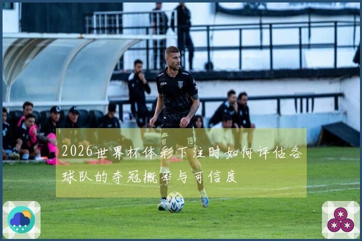 2026世界杯体彩下注时如何评估各球队的夺冠概率与可信度