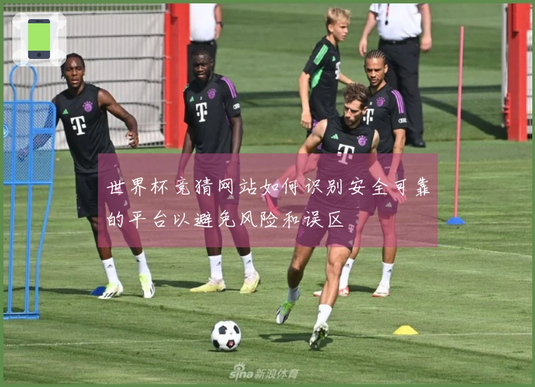 世界杯竞猜网站如何识别安全可靠的平台以避免风险和误区