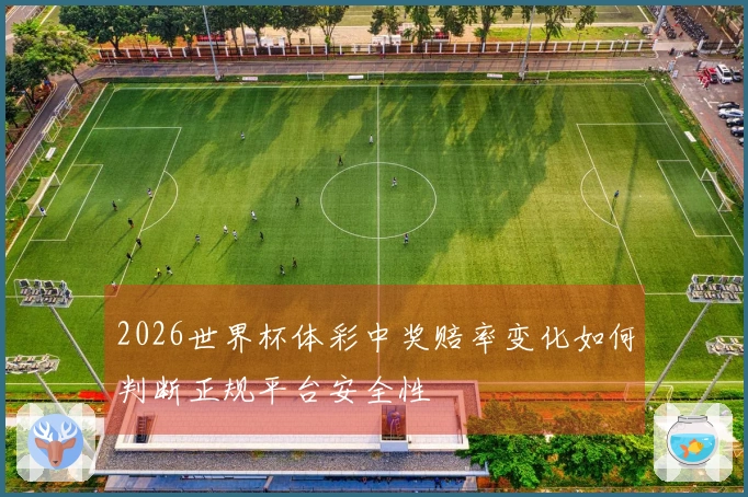 2026世界杯体彩中奖赔率变化如何判断正规平台安全性