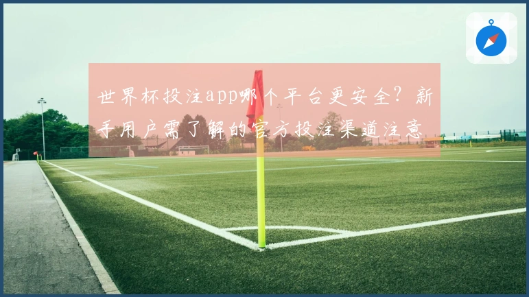 世界杯投注app哪个平台更安全？新手用户需了解的官方投注渠道注意事项