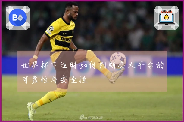 世界杯下注时如何判断各大平台的可靠性与安全性