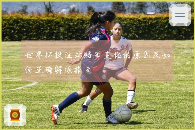 世界杯投注站赔率变化的原因及如何正确解读指南
