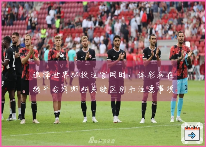 选择世界杯投注官网时，体彩和在线平台有哪些关键区别和注意事项-