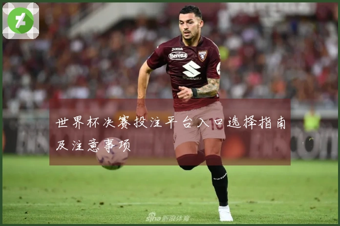 世界杯决赛投注平台入口选择指南及注意事项