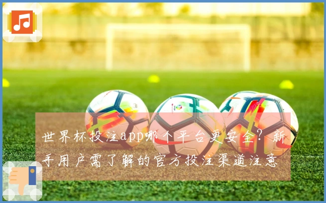 世界杯投注app哪个平台更安全？新手用户需了解的官方投注渠道注意事项