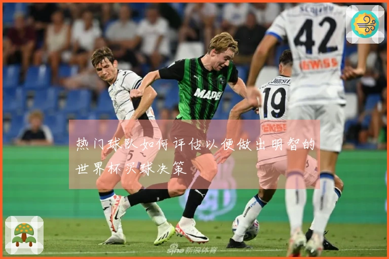 热门球队如何评估以便做出明智的世界杯买球决策